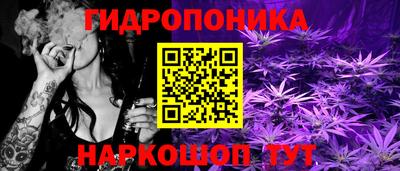 гашик Бузулук