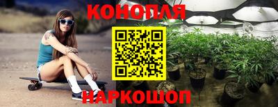 гашик Бузулук