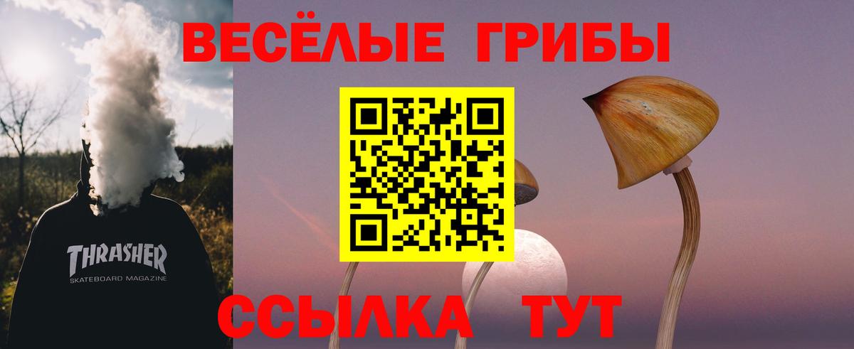 Усть-Илимск  Галлюциногенные грибы ЛСД  Вход с VPN 